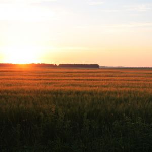 Uitzicht vanaf vlonder