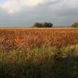 Zijde uitzicht boerderij